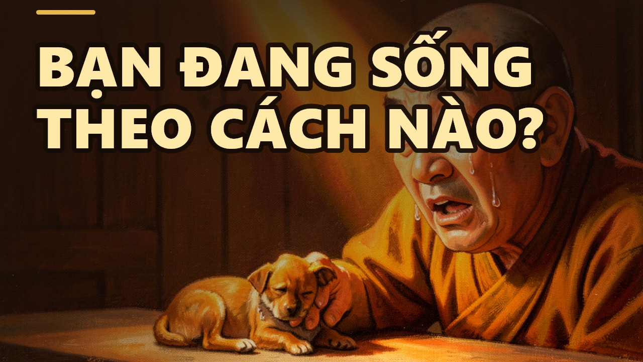 Bản Chất Của Hành Vi: Bạn Đang Sống Theo Bản Năng, Thói Quen Hay Đạo Đức?