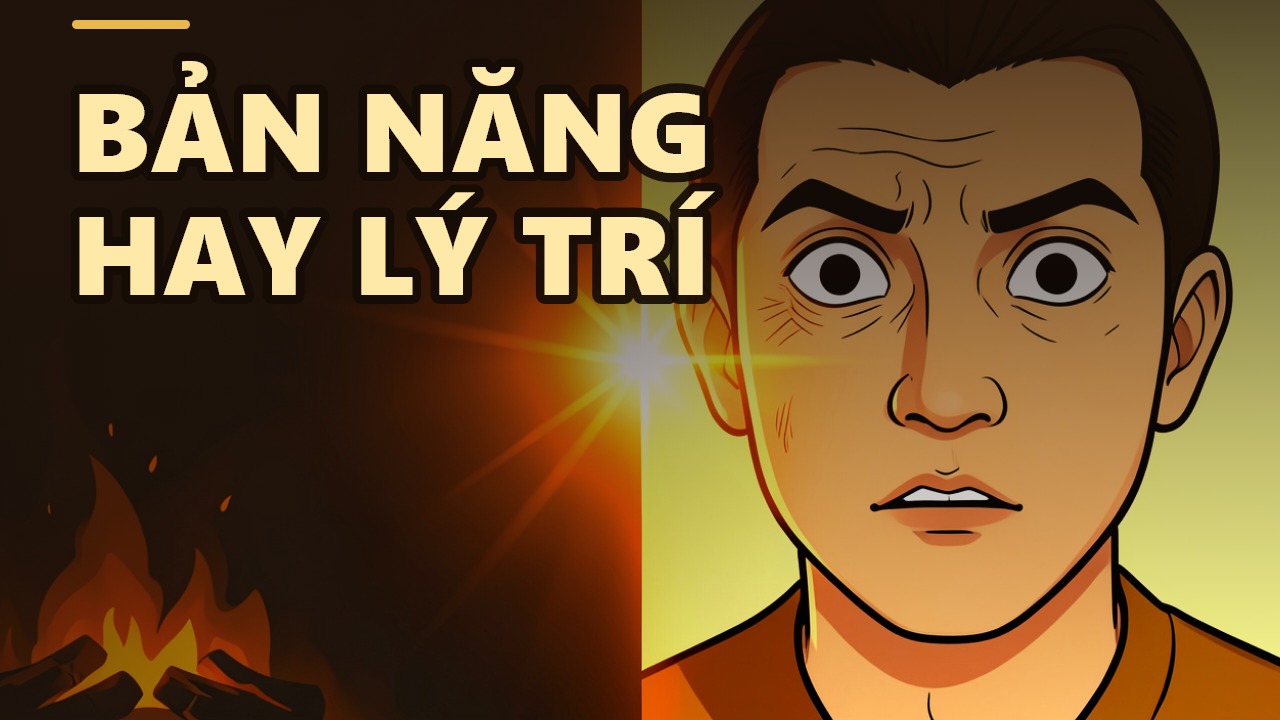 Bản năng hay lý trí: Cuộc chiến âm thầm quyết định số phận bạn