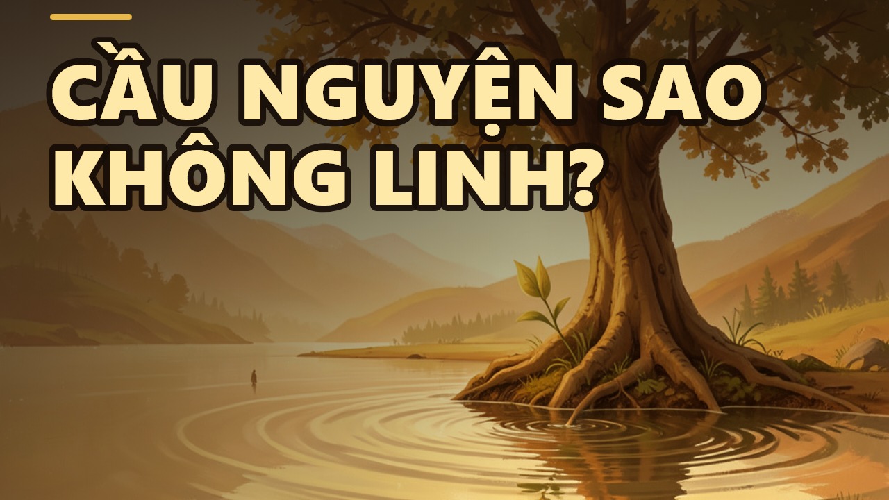 Bồ Tát Không Phù Phép: Ứng Dụng Luật Nhân Quả Trong Giáo Hóa Chúng Sinh