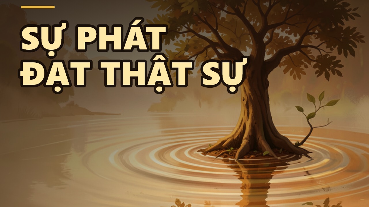 Cha Chết, Con Chết, Cháu Chết: Bài Học Sâu Sắc Về Sự Phát Đạt Chân Thật