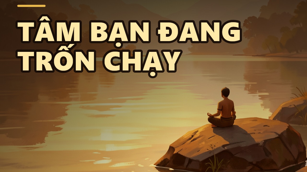 Chánh Niệm: Khi Tâm Bạn Không Còn Chạy Trốn