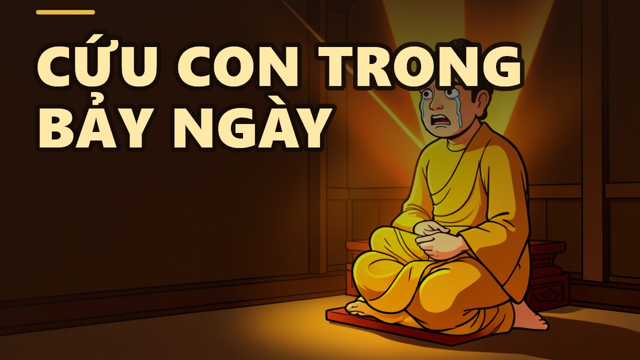 Transforming Karma: The Miracle That Saved a Seven-Day-Old Baby – Lessons from the Dhammapada