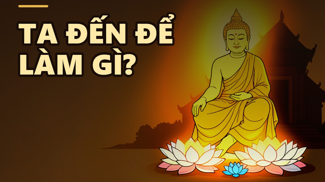 來到人間：我為何而來？