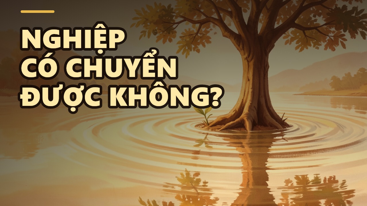 Đừng Chuyển Tội Cho Ai: Lời Giải Đáp Của TT. Thích Chân Quang