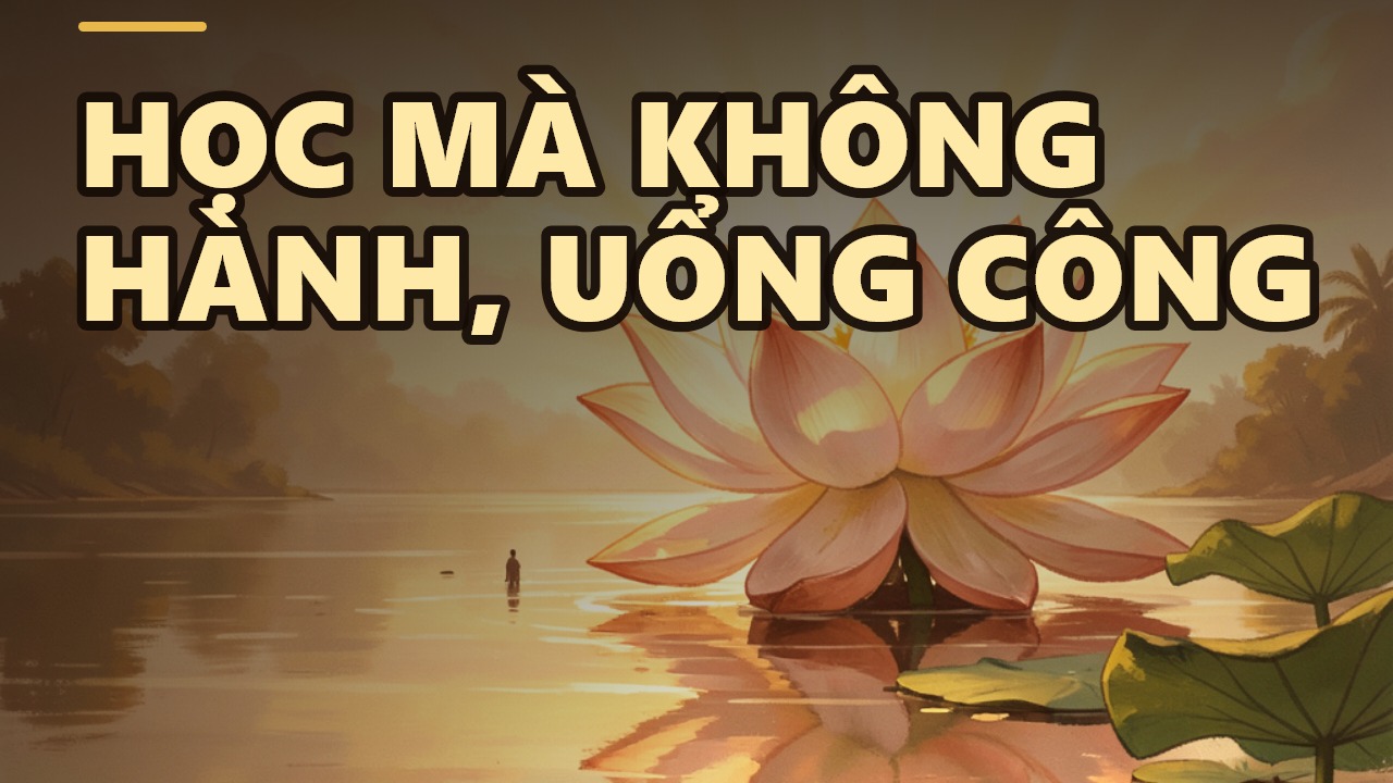 Đừng làm kẻ chăn bò: Học nhiều mà không thực hành