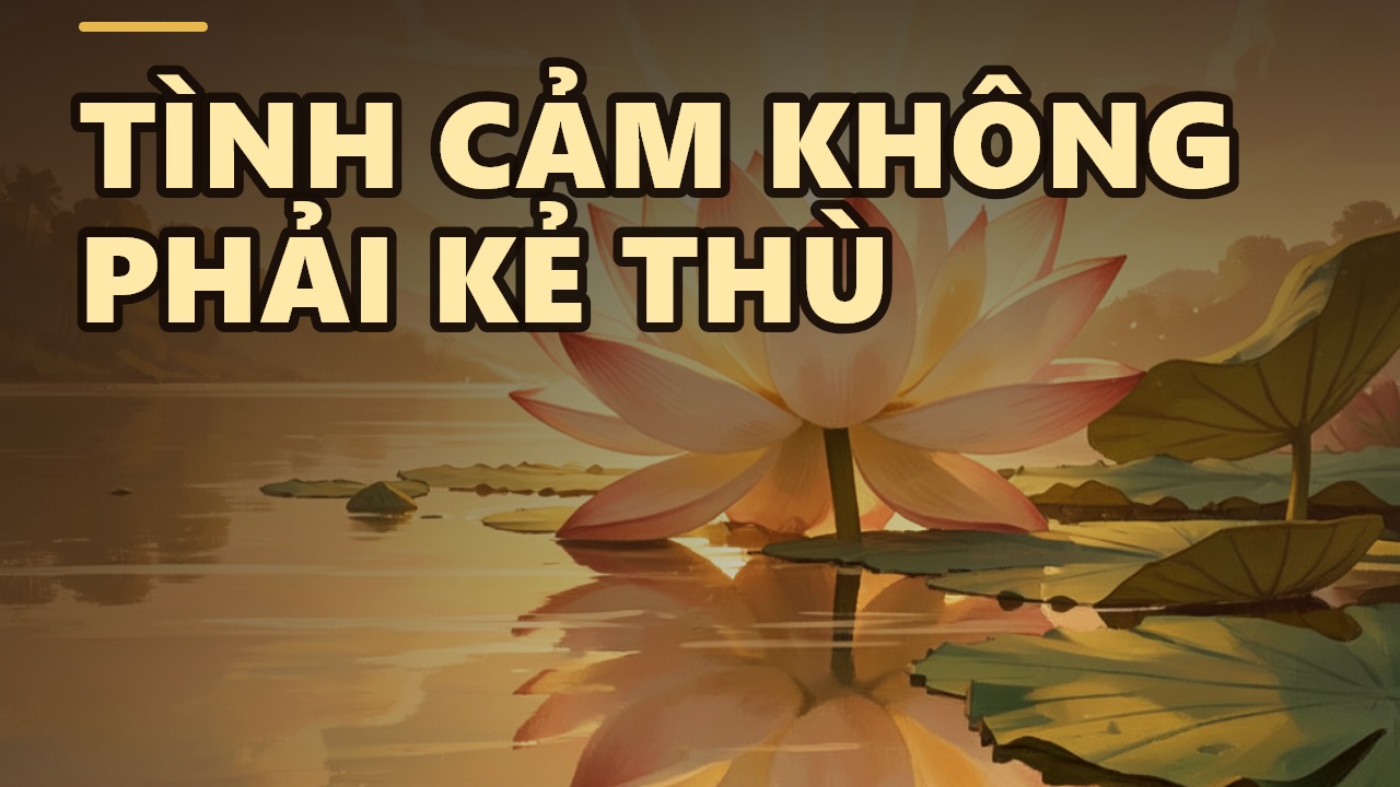 Đừng Vô Tình! Thương Ghét Sao Cho Đúng?