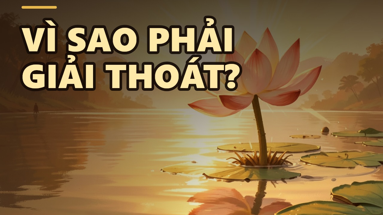 Giải Thoát Để Làm Gì? – Tìm Thấy Tự Do Trong Đời Sống Vị Tha