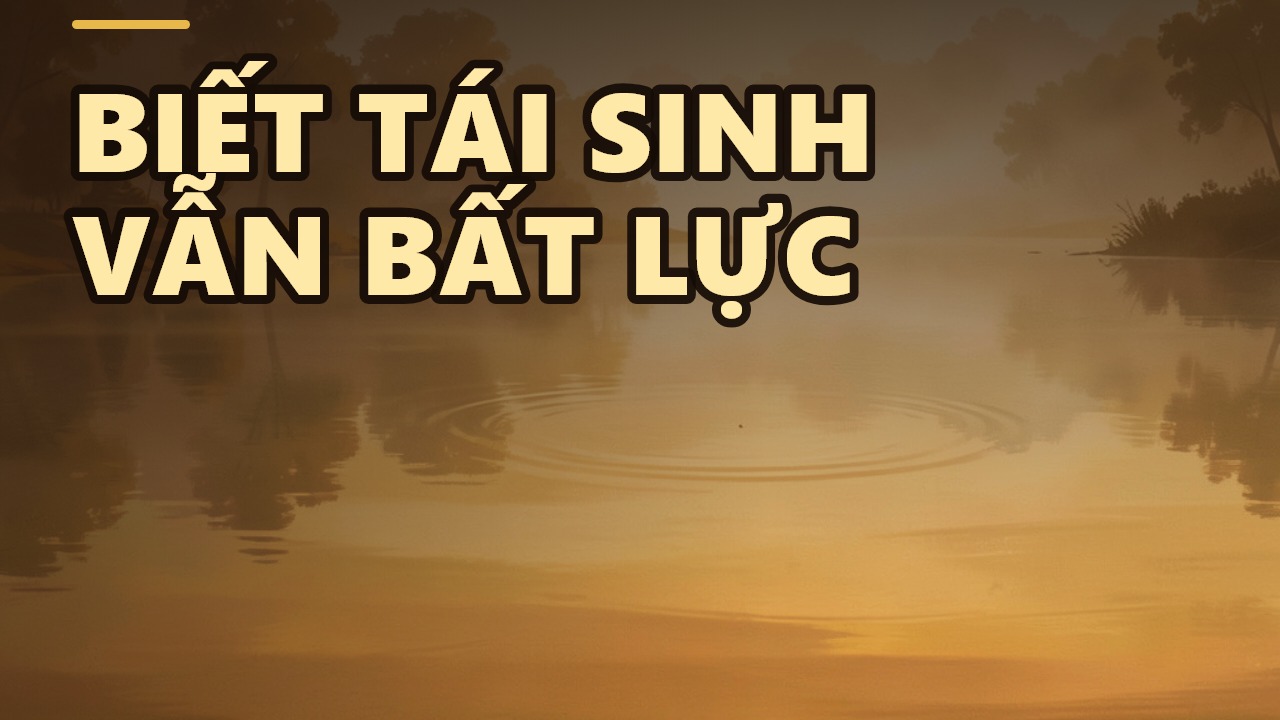 Gõ Đầu Lâu Biết Tái Sinh – Bí Mật Cuối Cùng Mà Ngài Vanisa Khám Phá