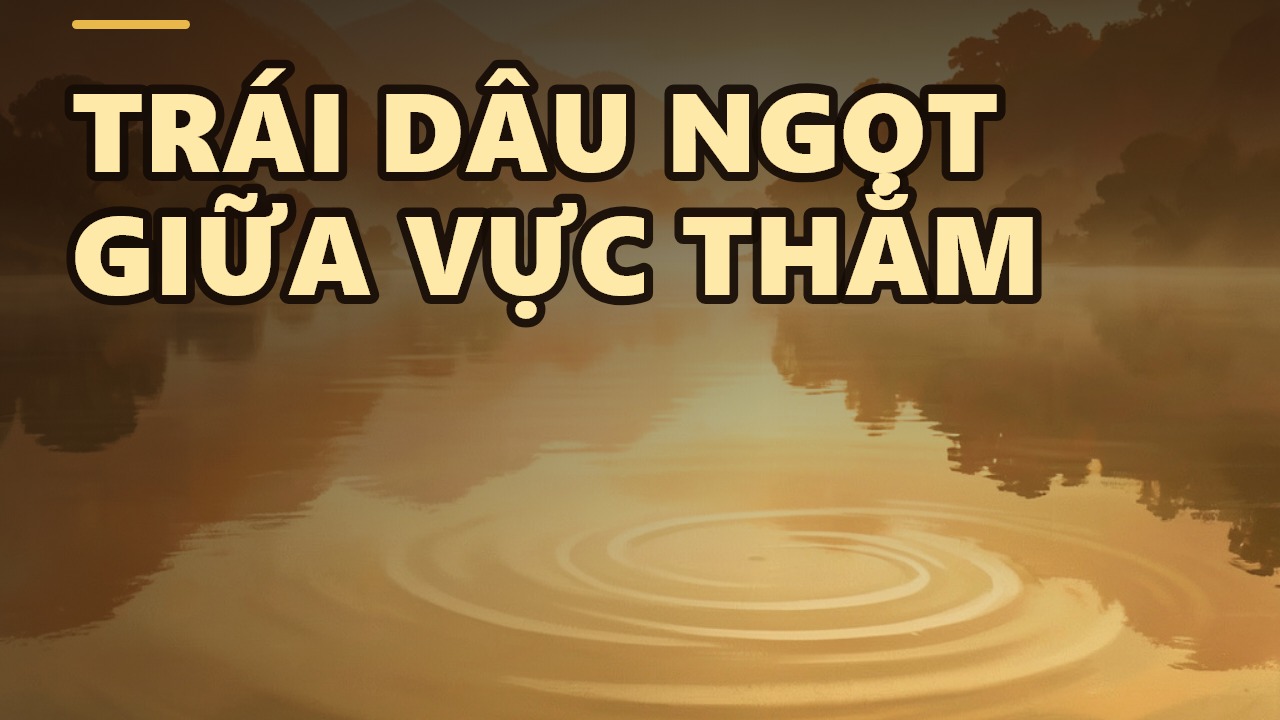Hiểu Thiền: Hành Trình Buông Bỏ Nỗi Sợ Cái Chết