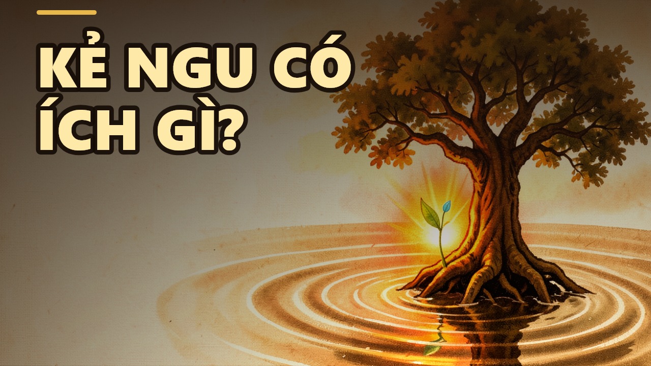 Kẻ Ngu Có Ích Gì? Mặc Áo Da Dê Mà Lòng Đầy Phiền Não
