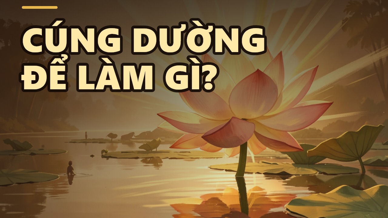 Khi Phật không cần gì, vì sao vẫn phải cúng dường?
