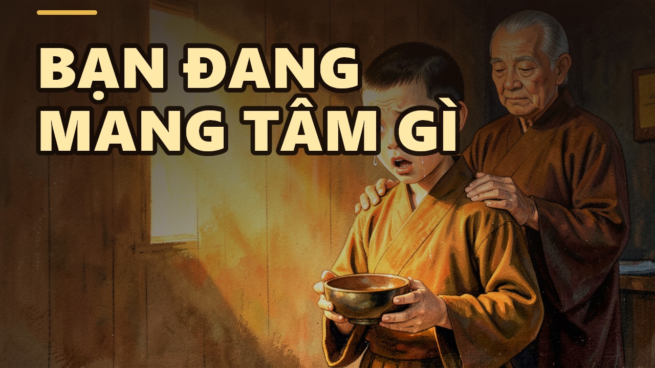 當看見他人犯錯,你懷抱的是什麼樣的心?