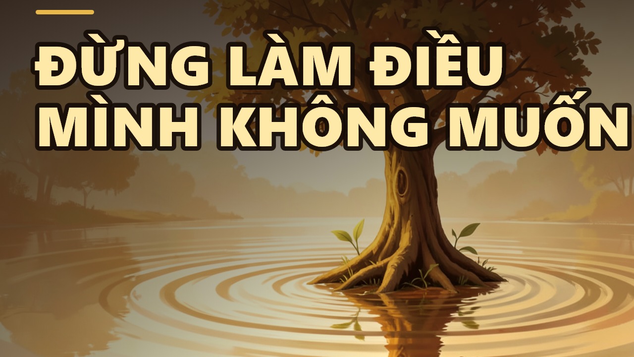 Kỷ sở bất dục, vật thi ư nhân: Điều bạn không muốn, đừng làm cho người khác