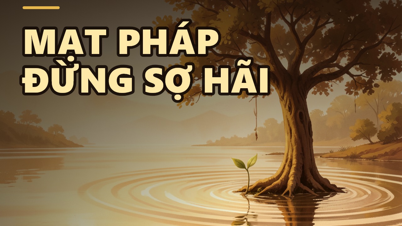 Mạt Pháp: Khi Giáo Lý Bị Hiểu Sai, Chúng Ta Phải Làm Gì?