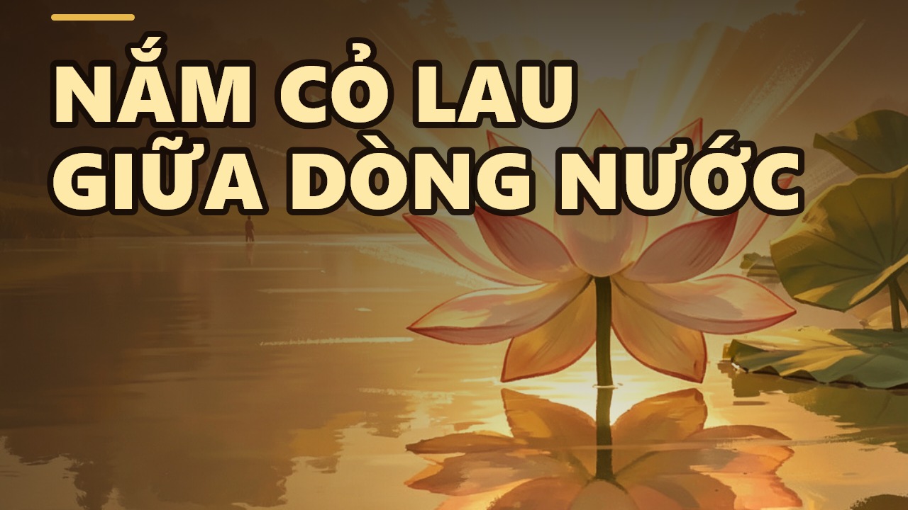 Nắm cọng cỏ lau giữa dòng nước cuốn: Sự thật về bám víu và giải thoát