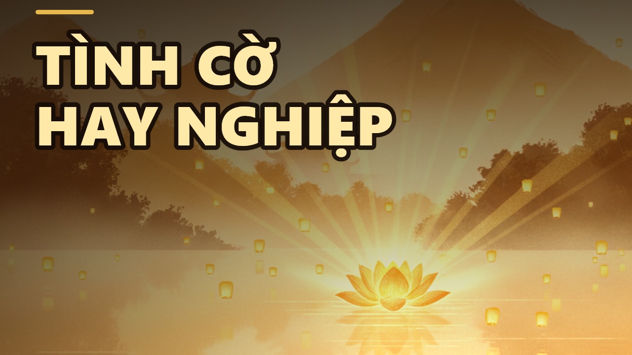 Ngẫu Nhiên và Tất Nhiên: Những 'Tình Cờ' Có Thật Sự Ngẫu Nhiên?