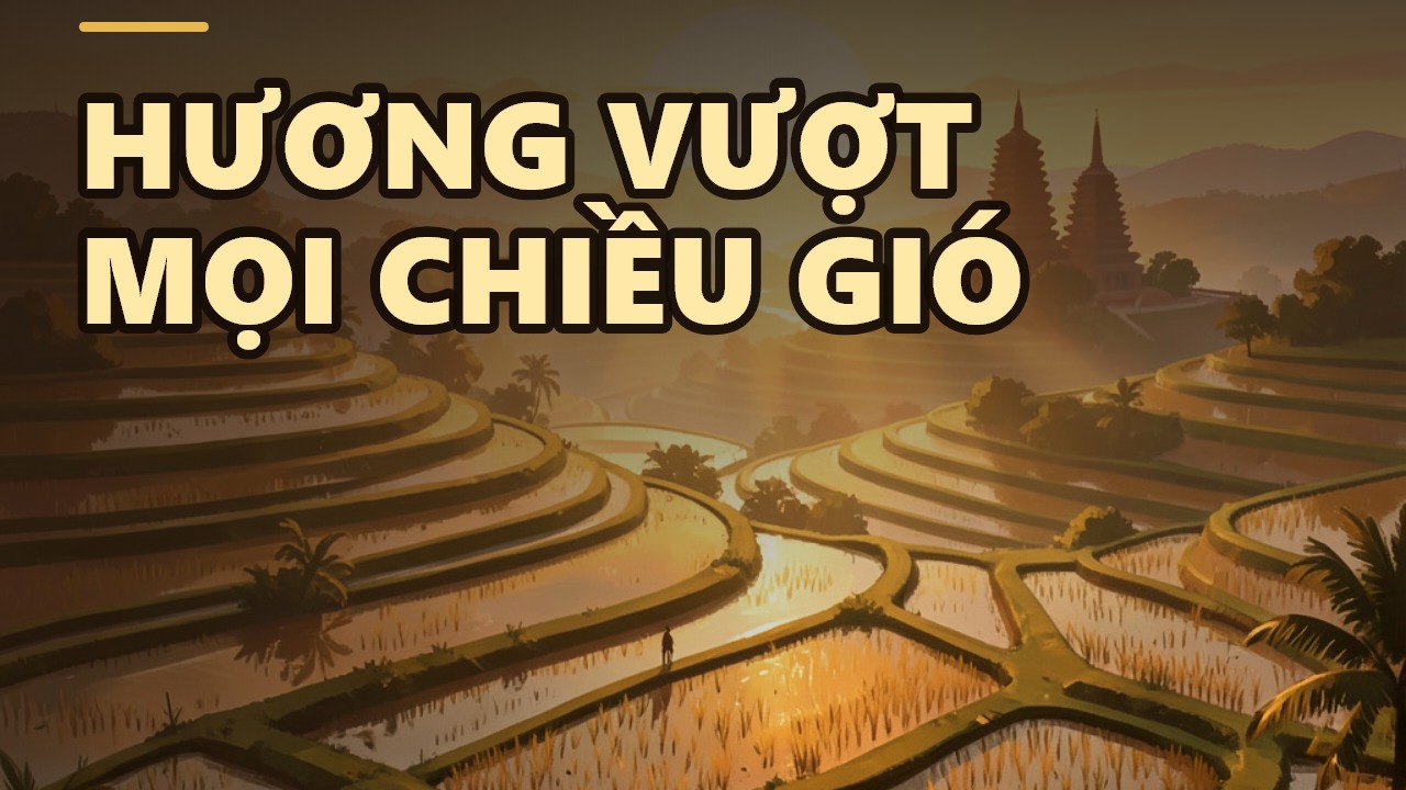 Ngược gió hương bay: Loài hương thơm duy nhất vượt mọi chiều gió