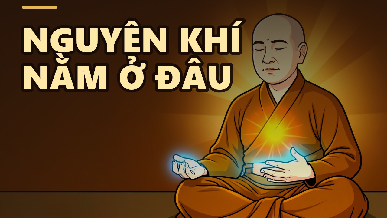 Primordial Energy: The Secret of Meditative Concentration from the Womb