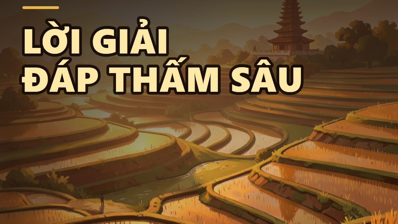 Những Câu Hỏi Ai Cũng Từng Thắc Mắc: Lời Giải Đáp Từ Thầy Thích Chân Quang