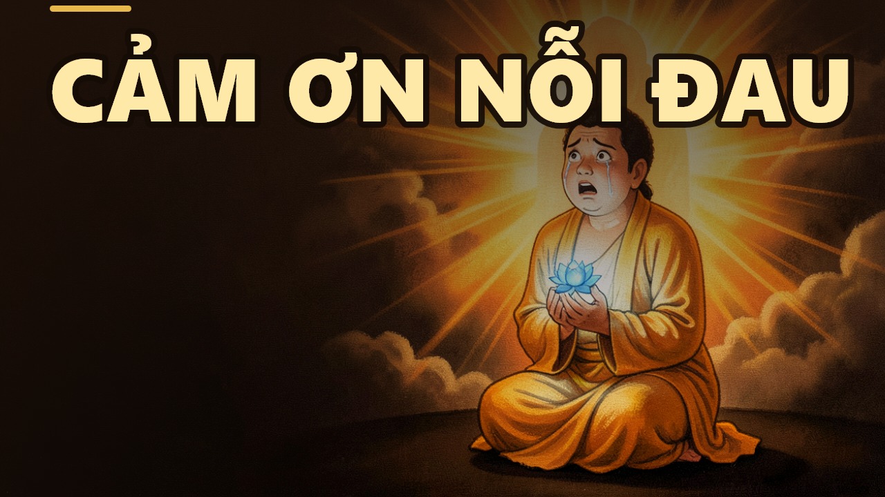 The Programmed Pain: Where Is the Bodhisattva Leading You?
