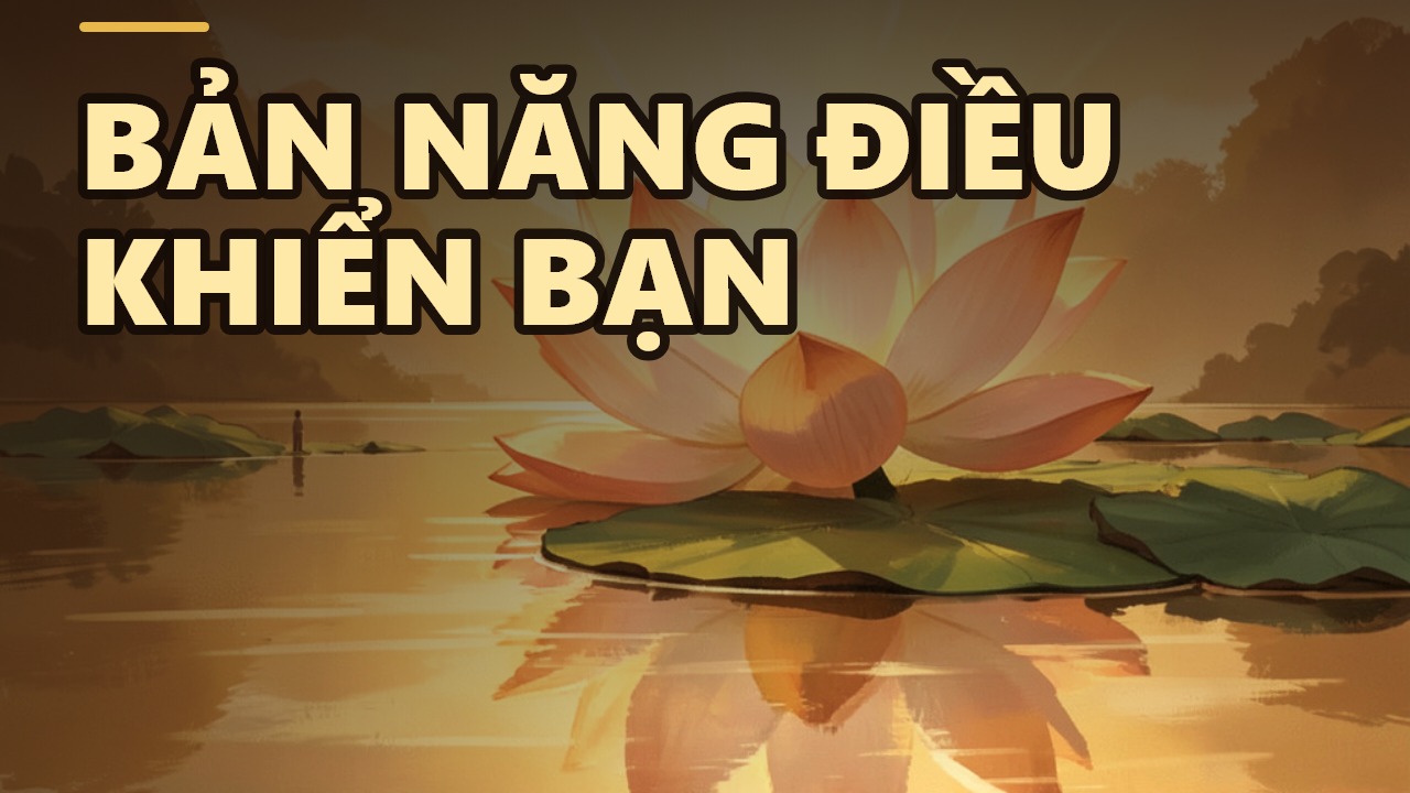 Sắc Ấm: Hai bản năng âm thầm điều khiển cuộc đời bạn