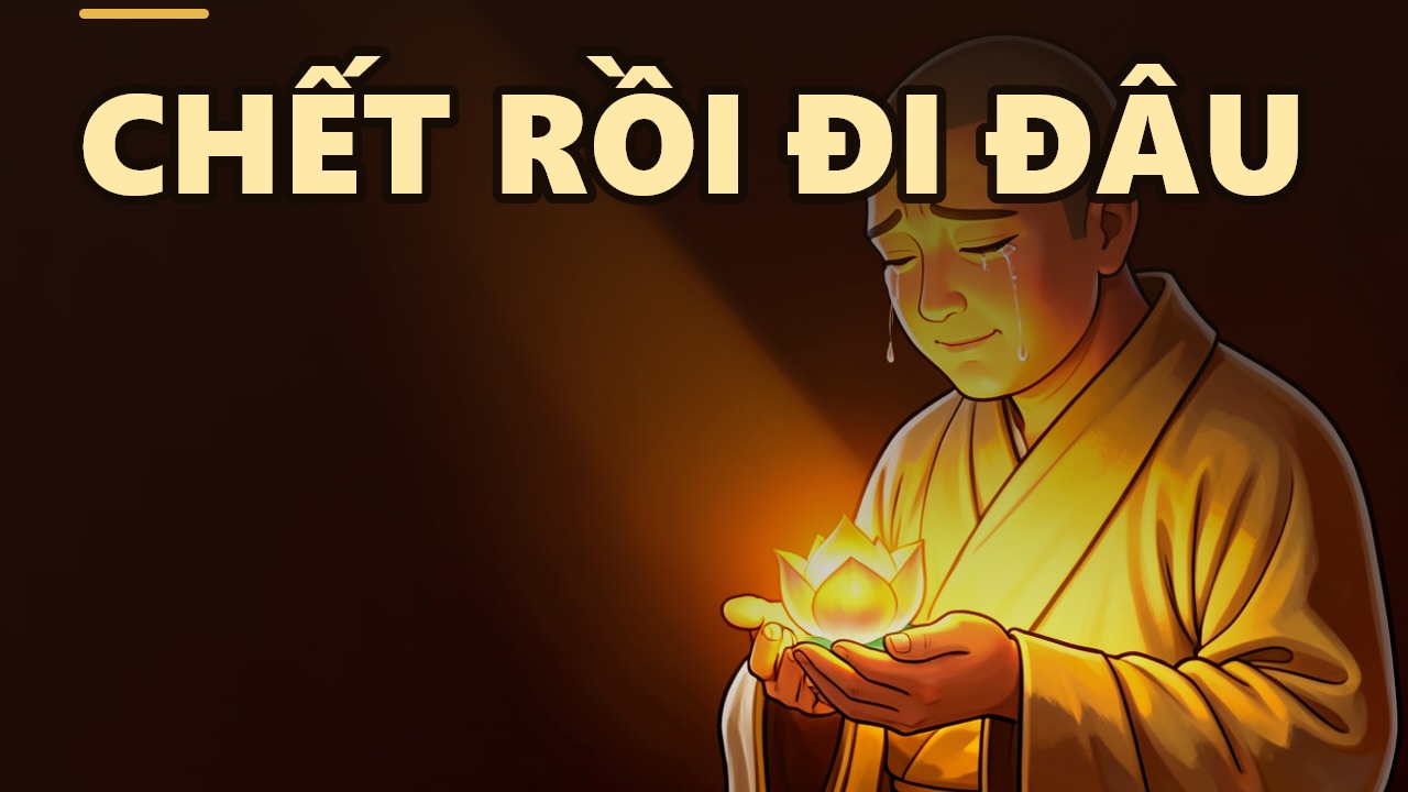 Sau khi chết, ta đi về đâu? Hãy gieo nhân để Phật pháp trường tồn