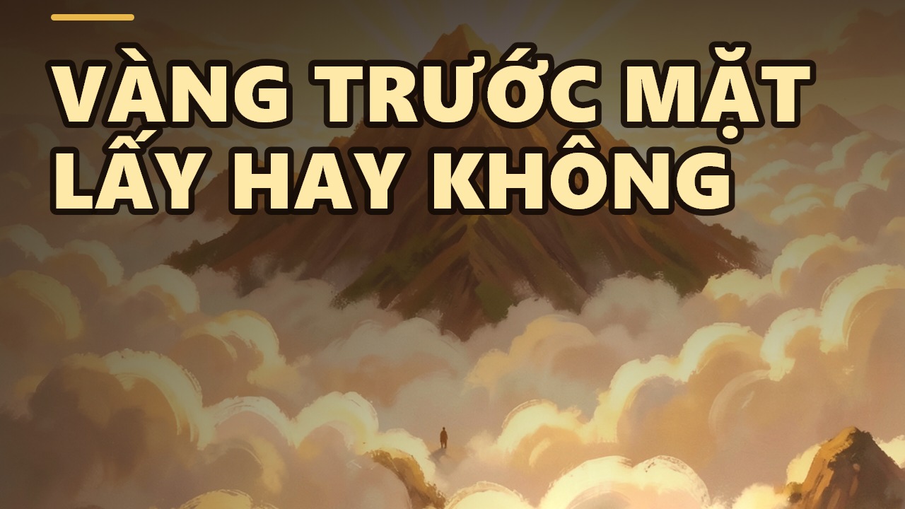 Sống Có Lý Tưởng: Khi Trí Tuệ và Trái Tim Cùng Hướng Đạo