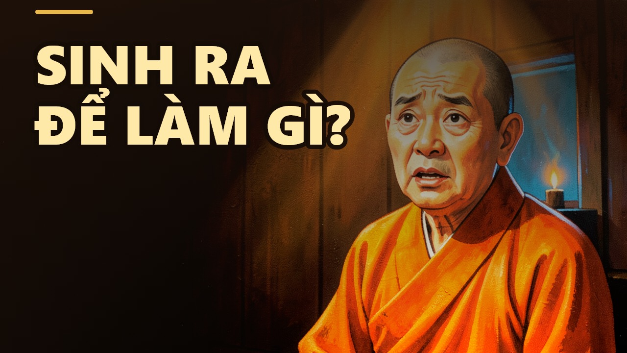 Sống là để tu, tu là để sống: Ta sinh ra trên đời này để làm gì?