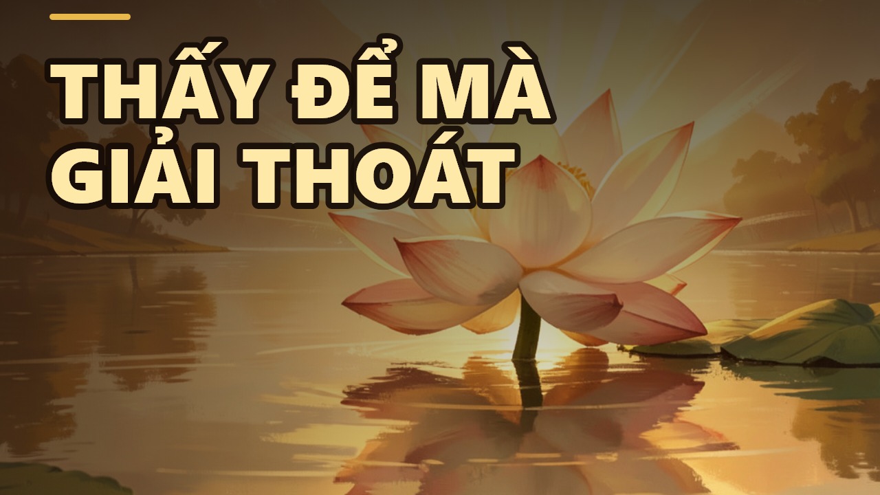 Sự Thật Giải Phóng Chúng Ta – Đạo Phật Không Bắt Tin, Chỉ Mời Thấy