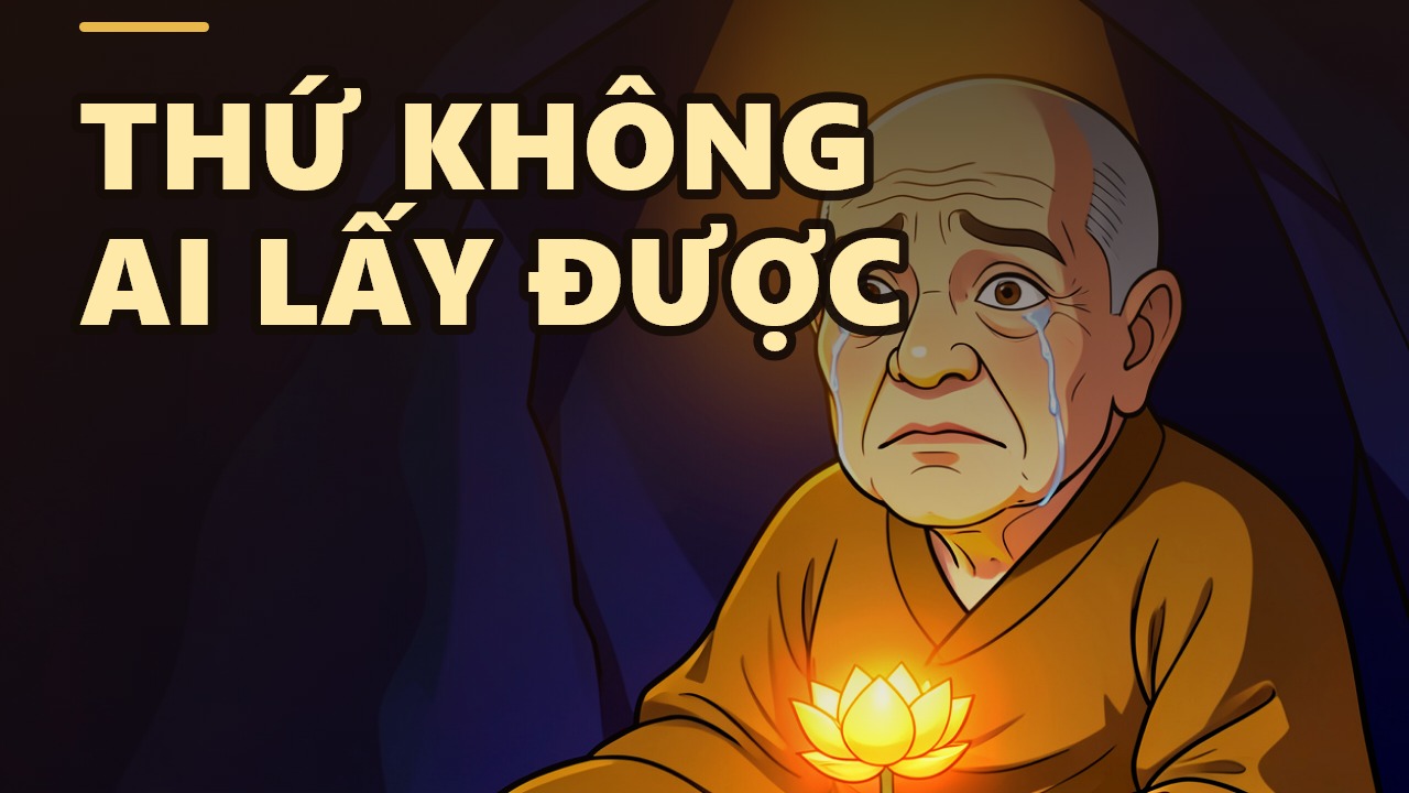 Tài Sản Quý Nhất Không Phải Tiền Bạc, Cũng Chẳng Phải Tình Yêu – Vậy Là Gì?