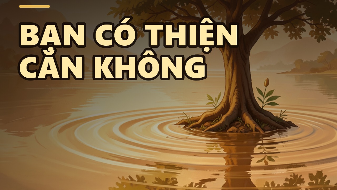 Thiện Căn: Dấu Hiệu Của Tâm Đã Gieo Lành Từ Nhiều Đời