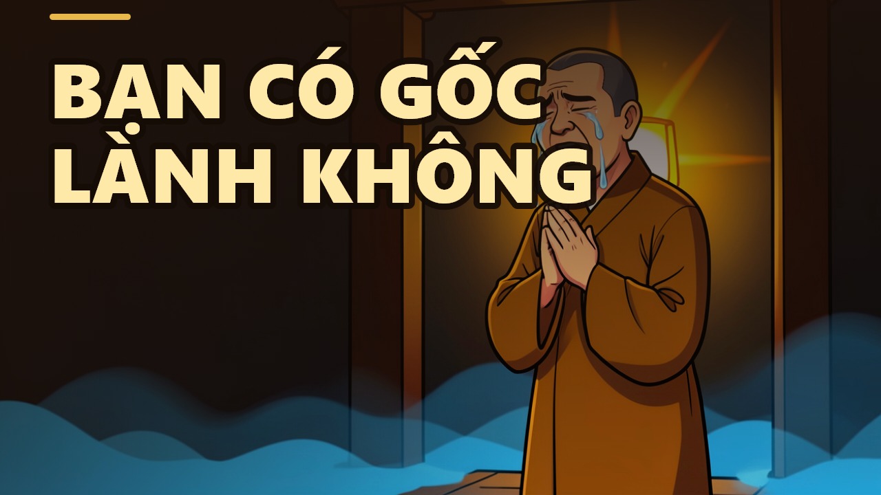 善根:多世培植的善苗,你察觉到了吗?