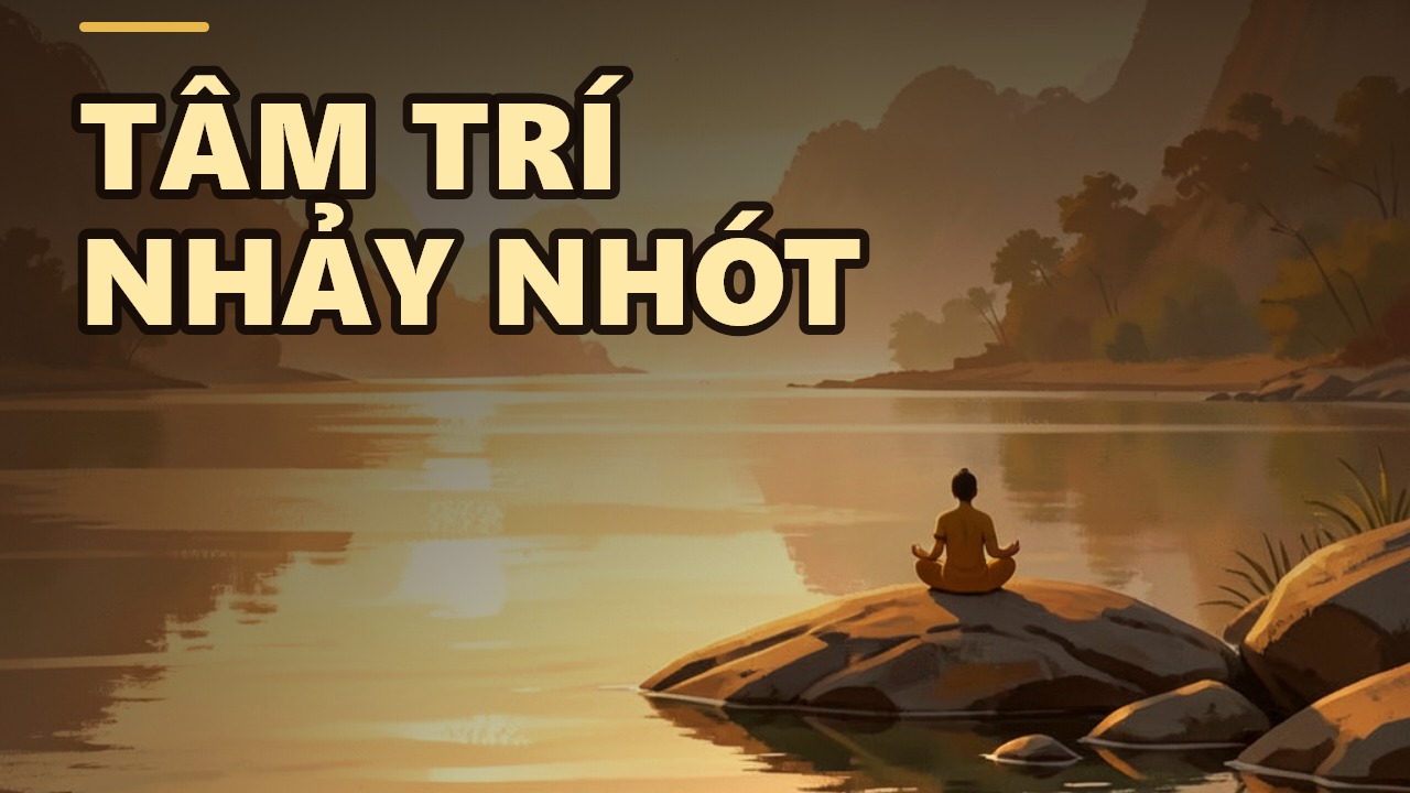 Thiền định: Ba con đường để thấy chính mình