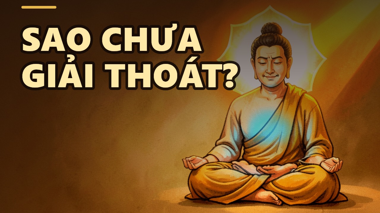 Skilled in Meditative Concentration, Yet Not a Saint? – The Ten Fetters Explained