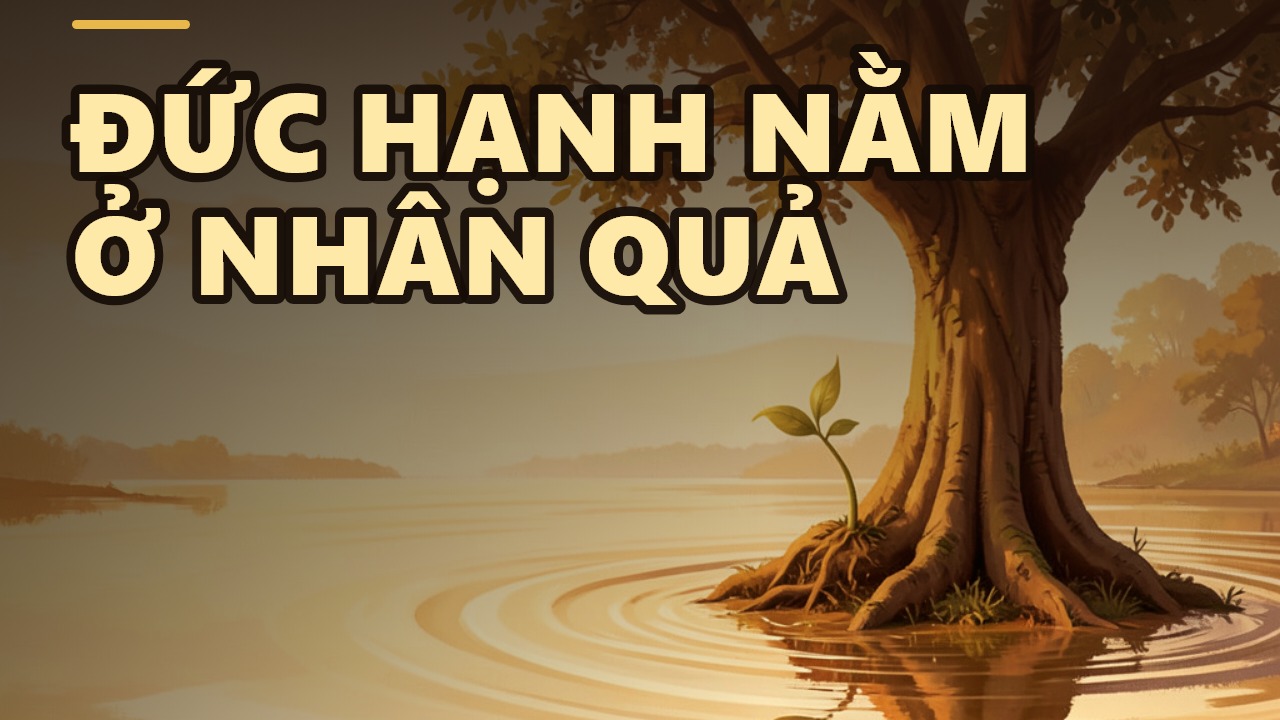 Thiền không chỉ là ngồi yên: Góc nhìn giáo dục của Thầy Thích Chân Quang