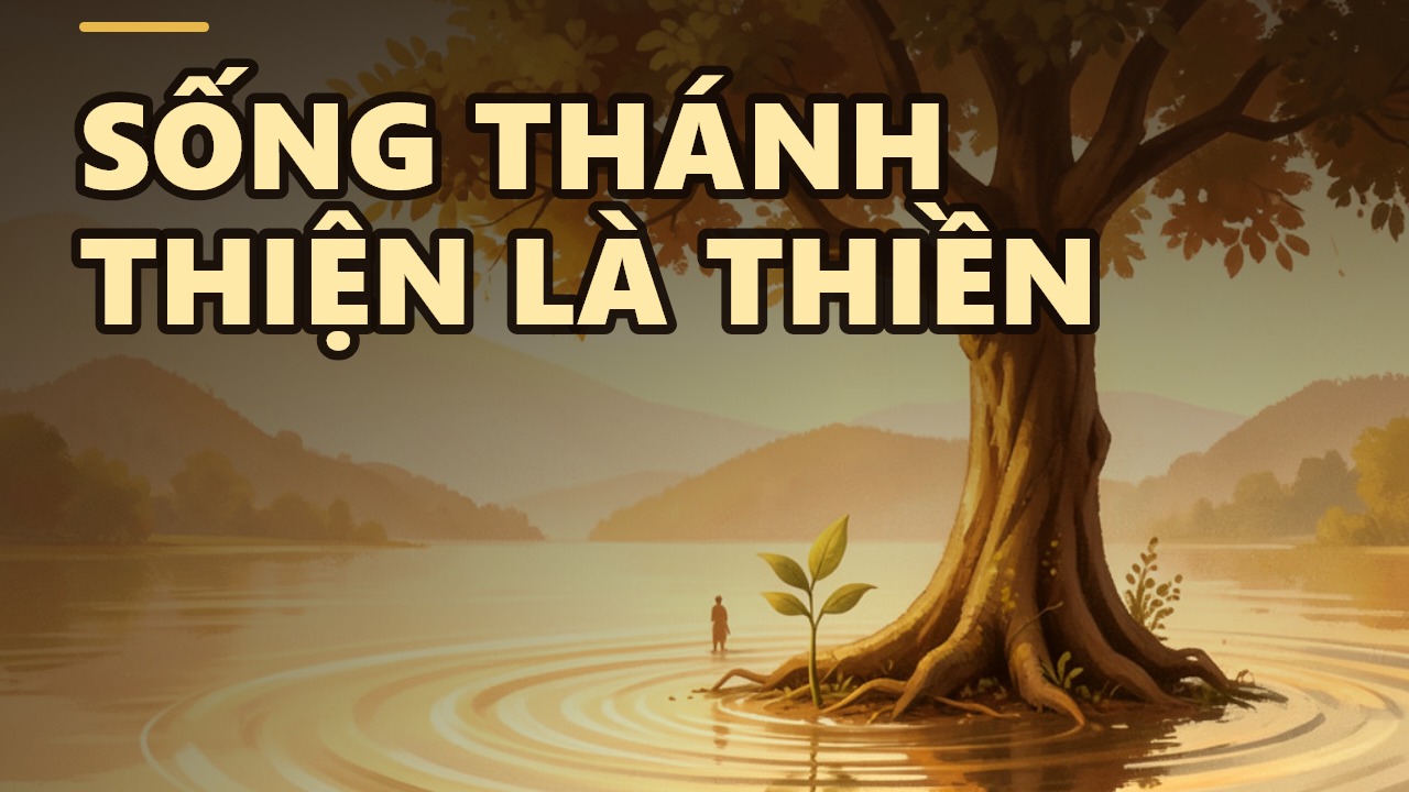 Thiền không phải chỉ để ngồi yên: Hành trình giáo dục tâm hồn theo Phật giáo