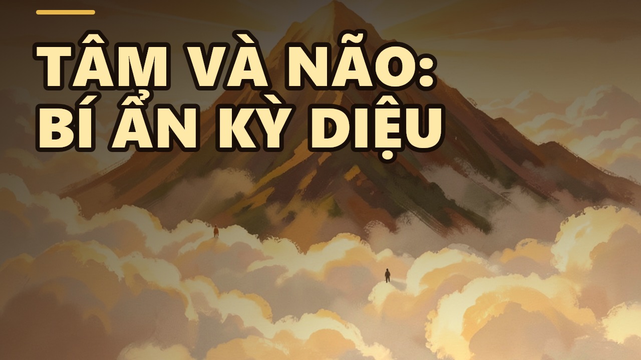 Thiền và bộ não: Sự kết nối kỳ diệu giữa tâm và sinh lý