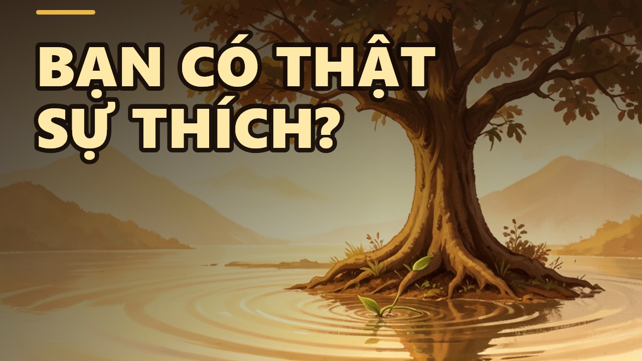 Thọ Ấm: Vì Sao Bạn Thích Một Người Mà Không Biết Lý Do?