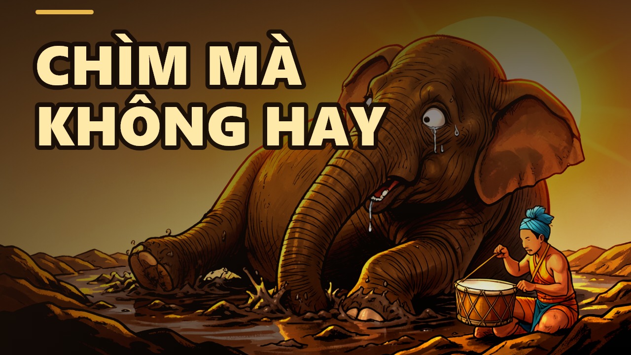Escaping the Swamp of Ignorance: Lessons from the War Elephant and a Wise Friend