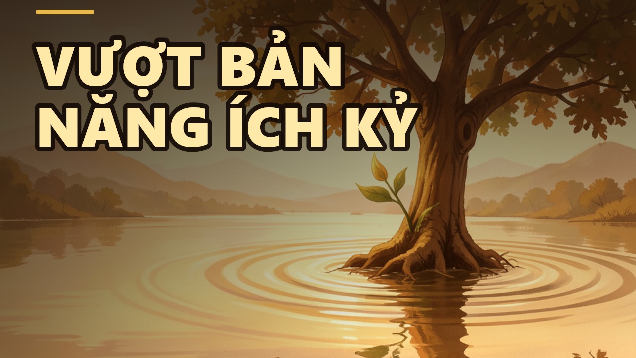 Tinh Tấn Ba La Mật: Vượt Qua Chính Mình Để Đem Đạo Đức Đến Muôn Nơi