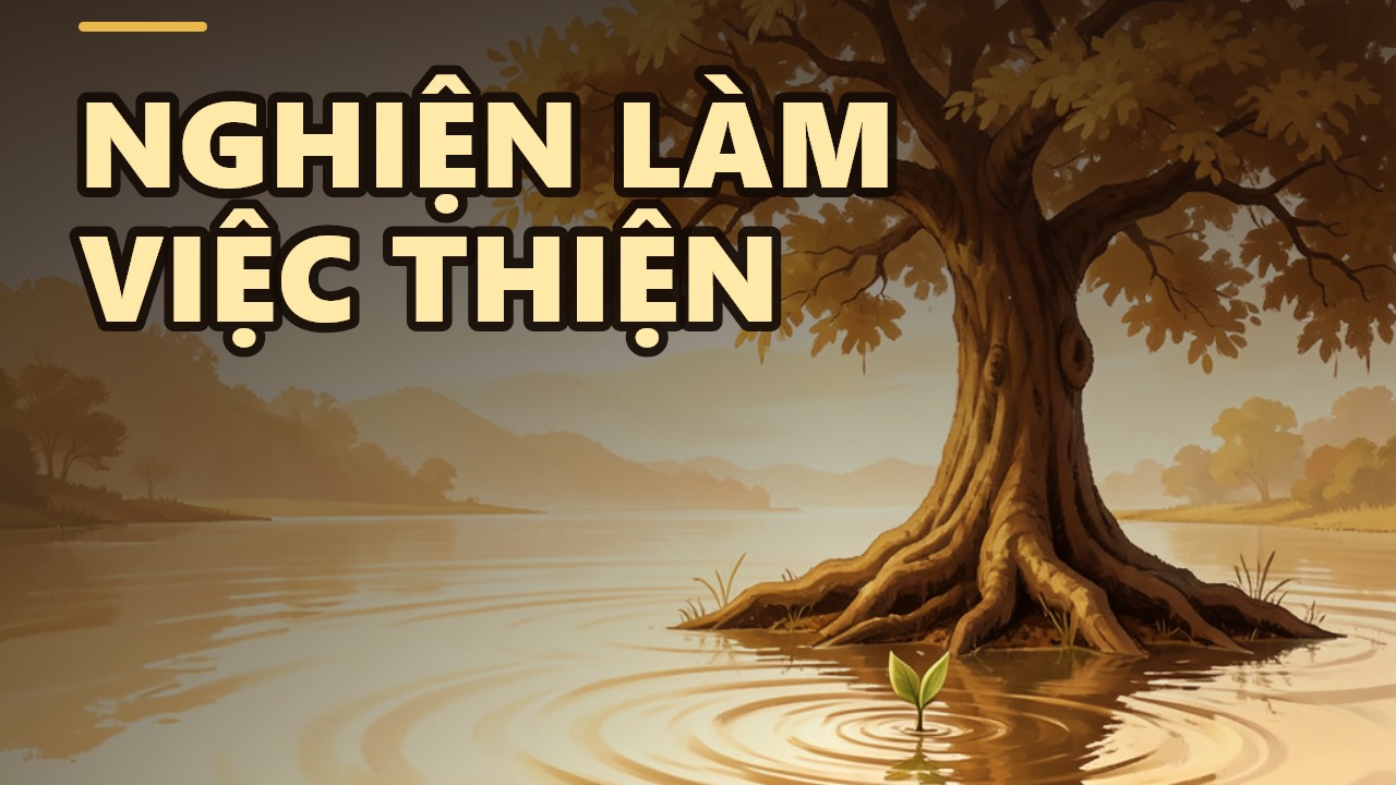 Tinh Tấn: Khi Việc Thiện Trở Thành Niềm Vui Không Thể Cưỡng