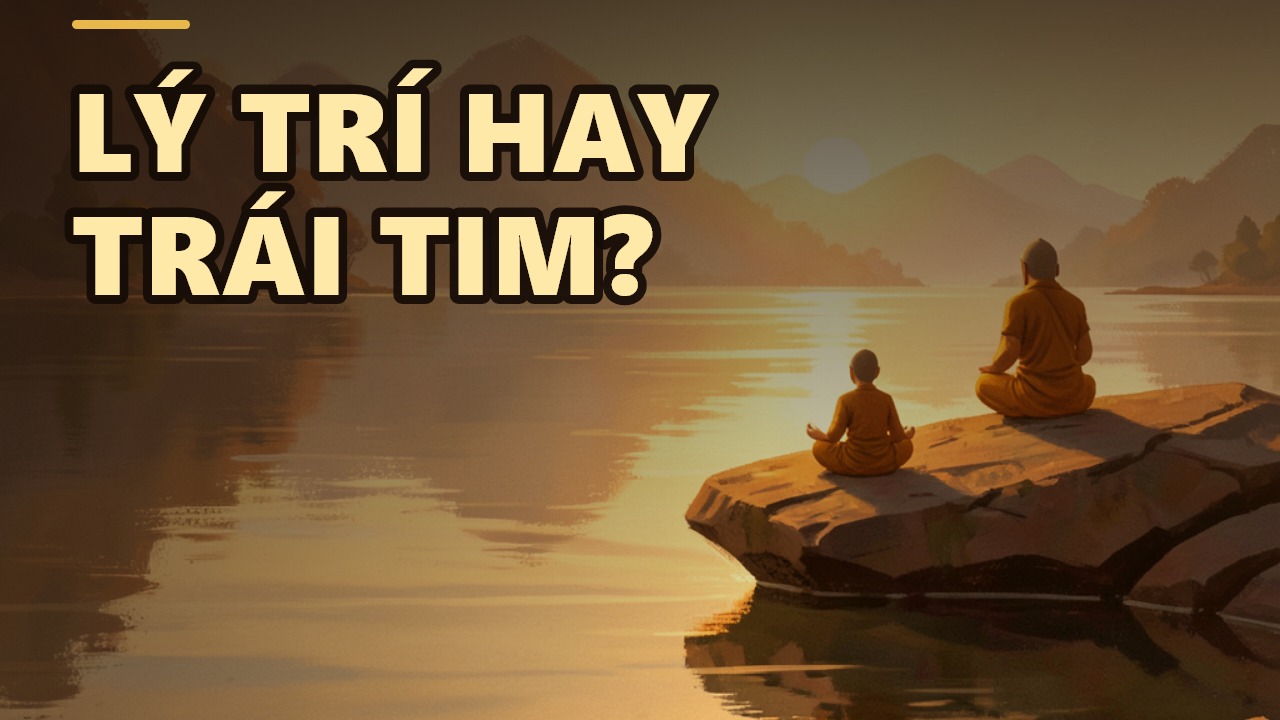 Trái tim yêu hay lý trí đúng? Ai nên quyết định cuộc đời bạn?