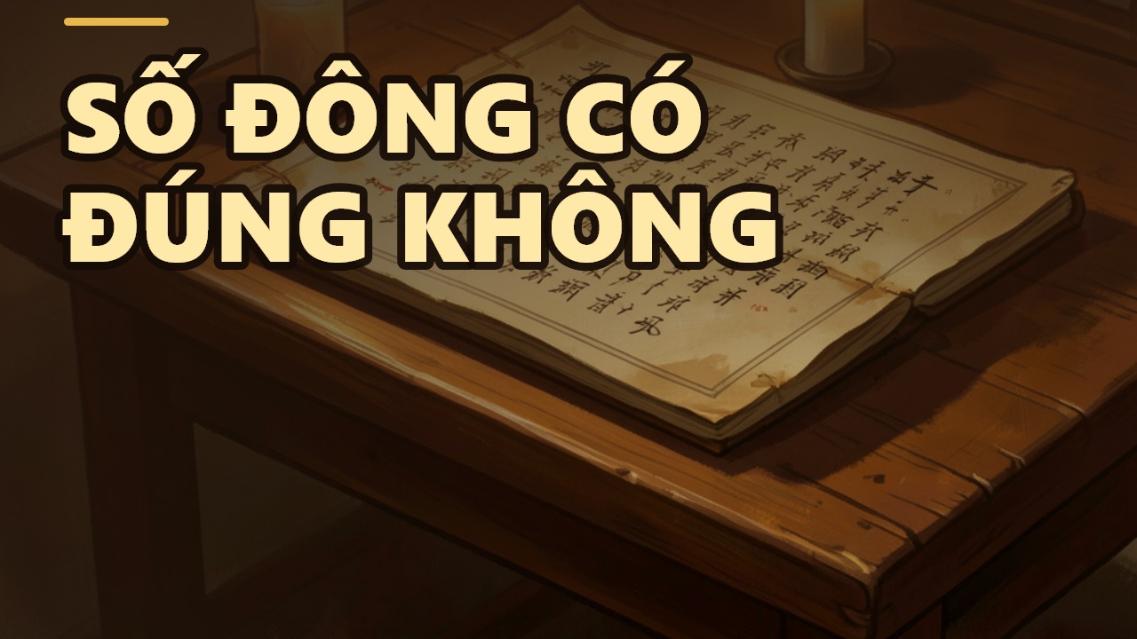 Tưởng Đúng Mà Sai: Vì Sao Số Đông Không Phải Là Chân Lý?