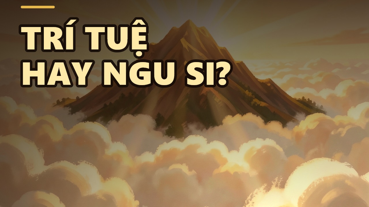 Vì Sao Người Trí Tuệ Luôn Khiêm Hạ?