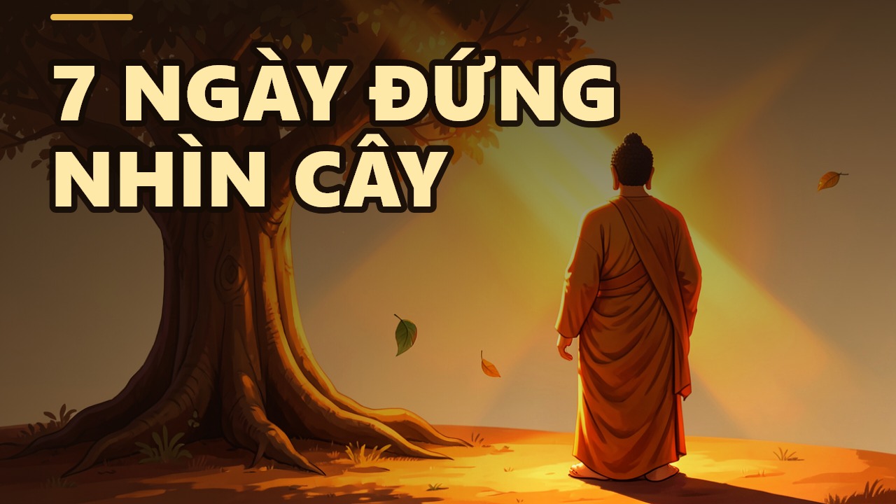 Vu Lan Is Not Just a Day of Filial Piety: A Lesson in Gratitude You May Have Never Heard